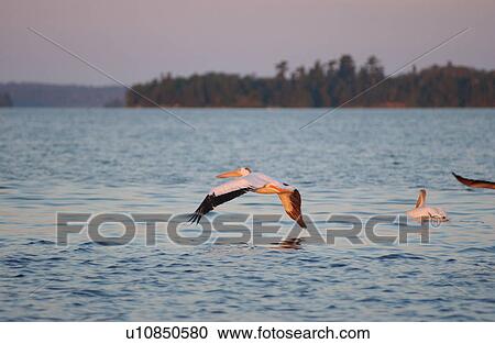 Lake Scenes View Large Photo Image Stock Image - Lake Scenes. Fotosearch