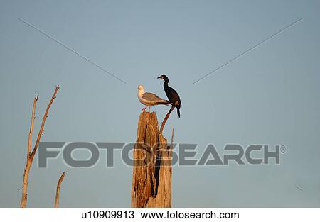 Lake Scenes View Large Photo Image Stock Image - Lake Scenes. Fotosearch