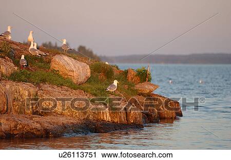 Stock Image - Lake Scenes. Fotosearch