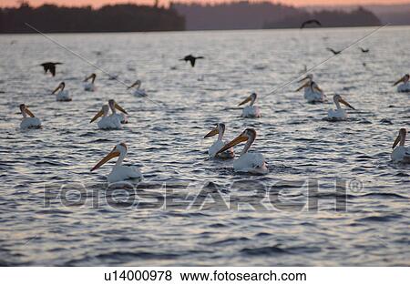 Stock Photo - Lake Scenes. Fotosearch