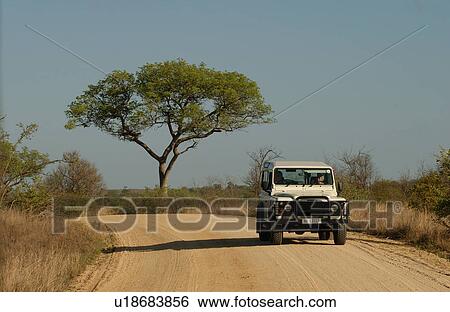 Africa Safari View Large Photo Image Stock Photograph - Africa Safari. Fotosearch