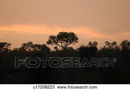 African Landscape View Large Photo Image Stock Image - African Landscape. Fotosearch
