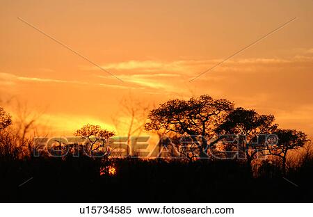 African Landscape View Large Photo Image Stock Photography - African Landscape. Fotosearch
