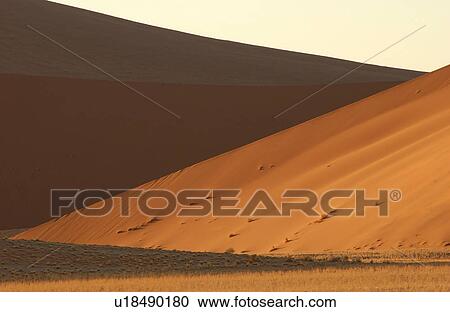 Sand Dunes of Sossusvlei - Namib desert, Namibia View Large Photo Image Stock Image - Sand Dunes of Sossusvlei - Namib desert, Namibia. Fotosearch