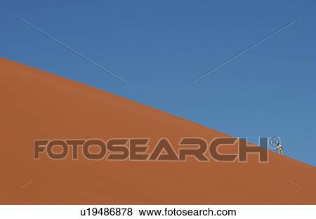 Stock Photo - Sand Dunes of Sossusvlei - Namib desert, Namibia. Fotosearch