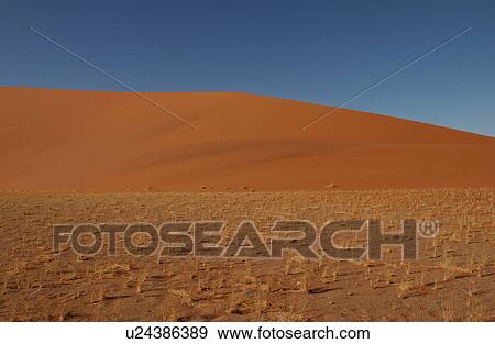 Stock Photo - Sand Dunes of Sossusvlei - Namib desert, Namibia. Fotosearch
