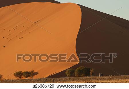 Sand Dunes of Sossusvlei - Namib desert, Namibia View Large Photo Image Stock Photo - Sand Dunes of Sossusvlei - Namib desert, Namibia. Fotosearch