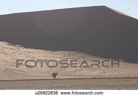 Stock Photo - Sand Dunes of Sossusvlei - Namib desert, Namibia. Fotosearch