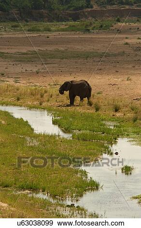 Stock Photo - African Landscape. Fotosearch