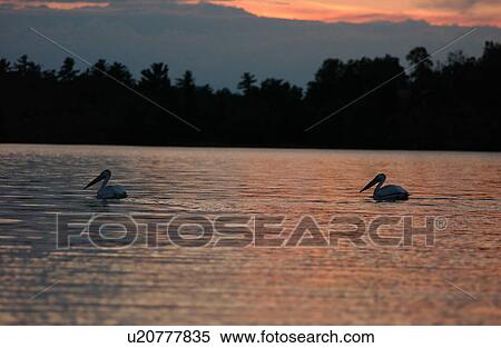 Lake Photography View Large Photo Image Stock Photography - Lake Photography. Fotosearch