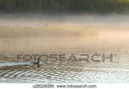 Stock Photography - Lake Scenes. Fotosearch