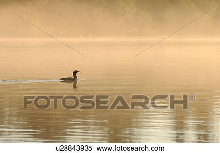 Lake Scenes View Large Photo Image Stock Photography - Lake Scenes. Fotosearch