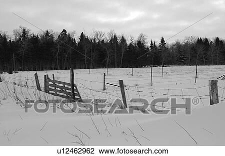 Beach - Gimli, Manitoba View Large Photo Image Stock Image - Beach - Gimli, Manitoba. Fotosearch