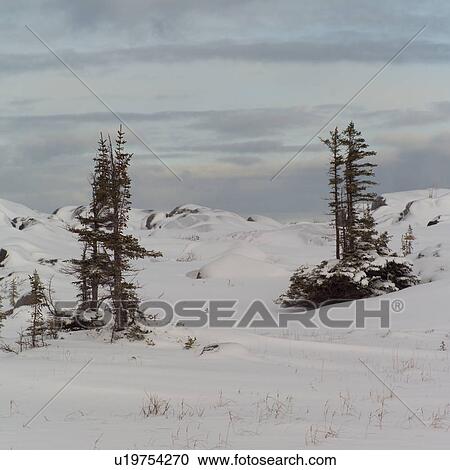Stock Image - Churchill Northern Manitoba Tundra Lanscape. Fotosearch