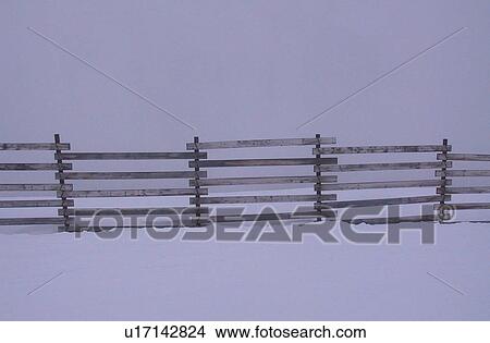 Picture - Lake Louise Ski Resort, Alberta, Canada. Fotosearch