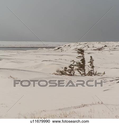 Snowy Shoreline of Hudsons Bay View Large Photo Image Stock Image - Snowy Shoreline of Hudsons Bay. Fotosearch