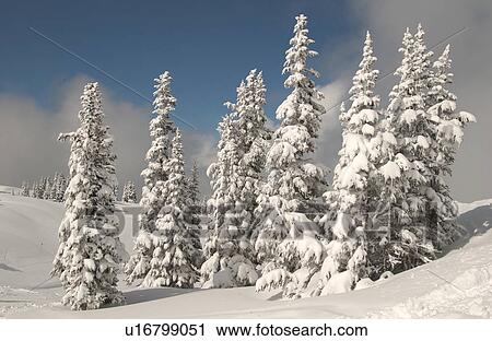 Whistler, B. C. Canada View Large Photo Image Stock Image - Whistler, B. C. Canada. Fotosearch