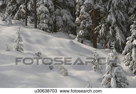 Stock Image - Whistler, B. C. Canada. Fotosearch