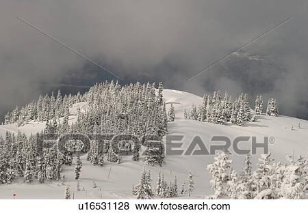 Whistler, B. C. Canada View Large Photo Image Stock Photo - Whistler, B. C. Canada. Fotosearch