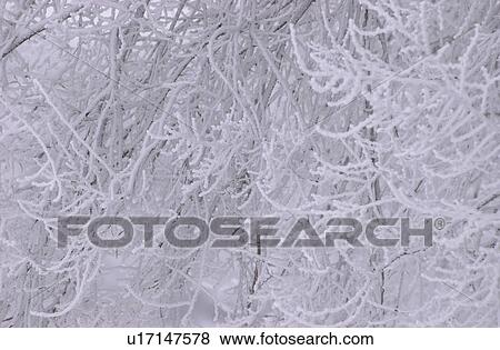 Winnipeg Manitoba, Canada Winter Scenes View Large Photo Image Stock Photo - Winnipeg Manitoba, Canada Winter Scenes. Fotosearch