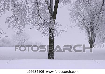 Winnipeg Manitoba, Canada Winter Scenes View Large Photo Image Stock Photograph - Winnipeg Manitoba, Canada Winter Scenes. Fotosearch