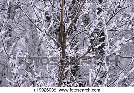 Stock Photography - Winnipeg Manitoba, Canada Winter Scenes. Fotosearch