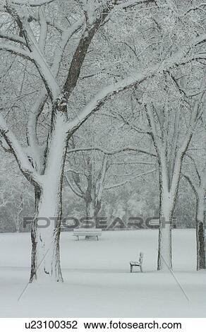 Winter Scenes - Canada View Large Photo Image Stock Image - Winter Scenes - Canada. Fotosearch