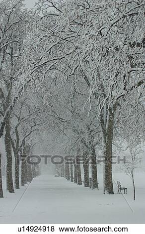 Winter Scenes - Canada View Large Photo Image Stock Photo - Winter Scenes - Canada. Fotosearch