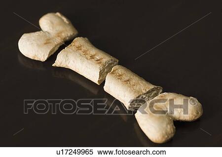 Close-up of a dog biscuit View Large Photo Image Stock Photography - Close-up of a dog biscuit. Fotosearch