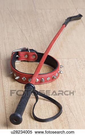 Close-up of a dog collar and riding crop on a hardwood floor View Large Photo Image Stock Photography - Close-up of a dog collar and riding crop on a hardwood floor. Fotosearch