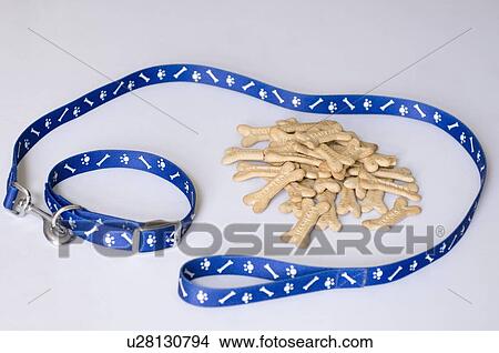 Picture - Close-up of a dog leash with dog biscuits. Fotosearch