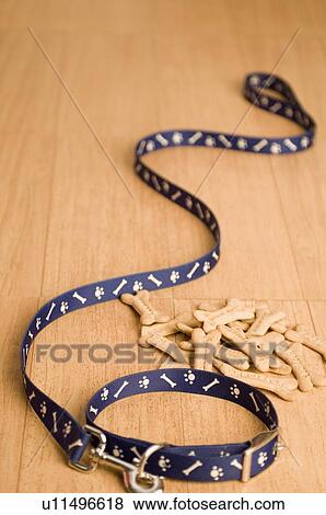 Close-up of a dog leash with dog biscuits View Large Photo Image Stock Photo - Close-up of a dog leash with dog biscuits. Fotosearch