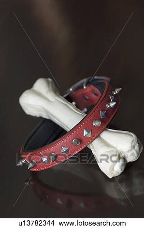 Close-up of a pet collar and a dog bone View Large Photo Image Picture - Close-up of a pet collar and a dog bone. Fotosearch