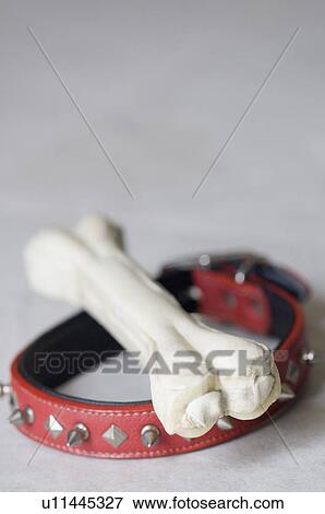 Stock Photo - Close-up of a pet collar and a dog bone. Fotosearch