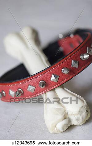Close-up of a pet collar and a dog bone View Large Photo Image Stock Photography - Close-up of a pet collar and a dog bone. Fotosearch