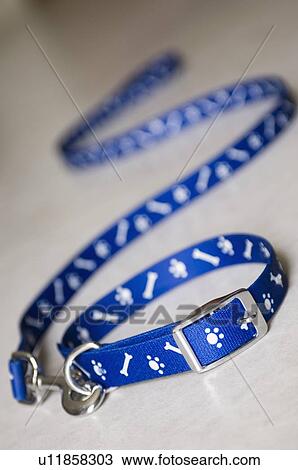 Stock Image - Close-up of a pet collar and a leash. Fotosearch
