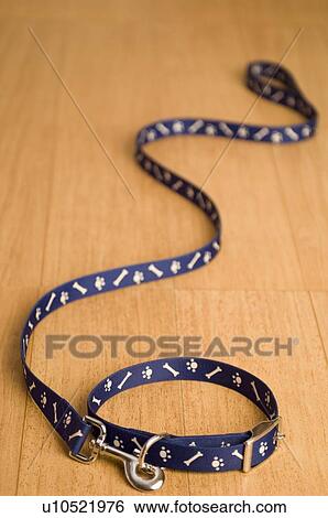 Stock Photograph - Close-up of a pet collar and a leash. Fotosearch