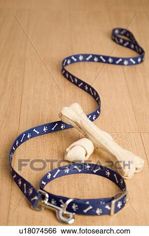Close-up of a pet collar and a leash with dog bones View Large Photo Image Stock Photograph - Close-up of a pet collar and a leash with dog bones. Fotosearch