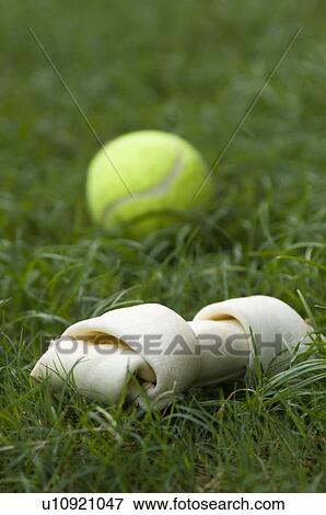 Close-up of a toy dog bone and a ball on grass View Large Photo Image Stock Photo - Close-up of a toy dog bone and a ball on grass. Fotosearch