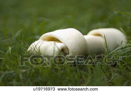 Close-up of a toy dog bone on grass View Large Photo Image Stock Image - Close-up of a toy dog bone on grass. Fotosearch