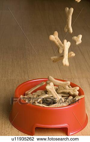Close-up of dog biscuits being poured in a dog bowl View Large Photo Image Stock Image - Close-up of dog biscuits being poured in a dog bowl. Fotosearch