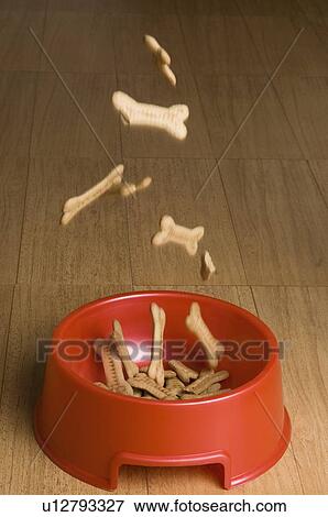 Close-up of dog biscuits being poured in a dog bowl View Large Photo Image Stock Photo - Close-up of dog biscuits being poured in a dog bowl. Fotosearch