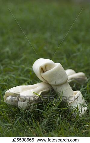 Close-up of dog bones on grass View Large Photo Image Stock Photography - Close-up of dog bones on grass. Fotosearch