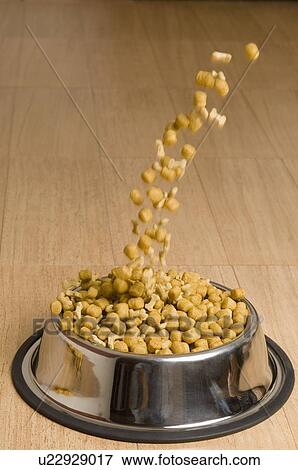 Stock Photo - Close-up of dog food being poured in a dog bowl. Fotosearch
