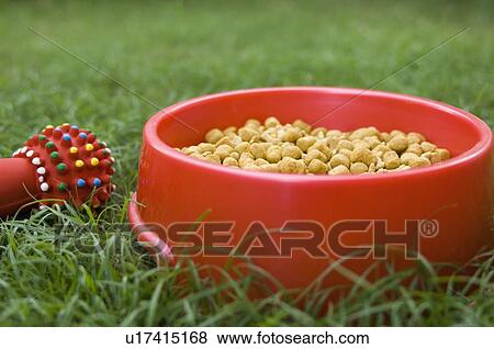 Stock Photo - Close-up of dog food in a dog bowl with a chew toy. Fotosearch
