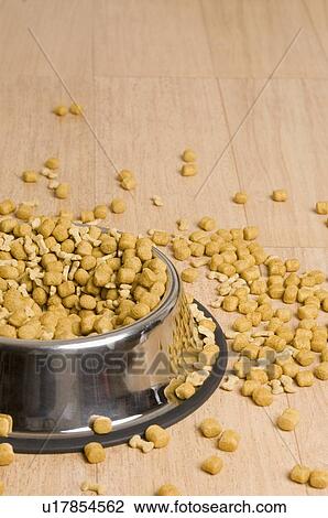 Close-up of dog food spilt out of a dog bowl View Large Photo Image Stock Image - Close-up of dog food spilt out of a dog bowl. Fotosearch