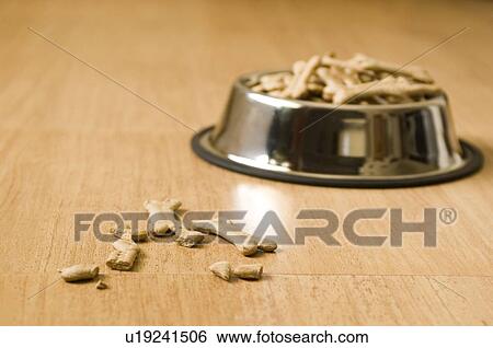 Dog biscuits on the floor with dog biscuits in a dog bowl in the background View Large Photo Image Stock Photograph - Dog biscuits on the floor with dog biscuits in a dog bowl in the background. Fotosearch