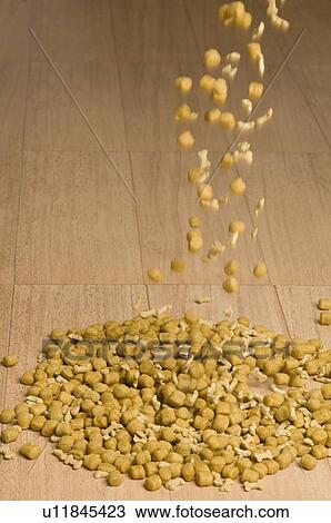 Dog food being poured on the hardwood floor View Large Photo Image Stock Image - Dog food being poured on the hardwood floor. Fotosearch
