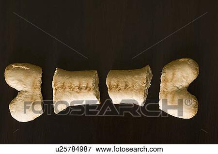 Stock Photo - High angle view of a dog biscuit. Fotosearch