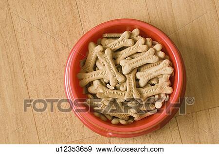 High angle view of dog biscuits in a dog bowl View Large Photo Image Stock Photo - High angle view of dog biscuits in a dog bowl. Fotosearch